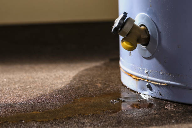 Best Commercial water damage restoration  in Leisuretowne, NJ