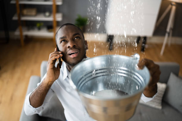 Best Ceiling water damage repair  in Leisuretowne, NJ