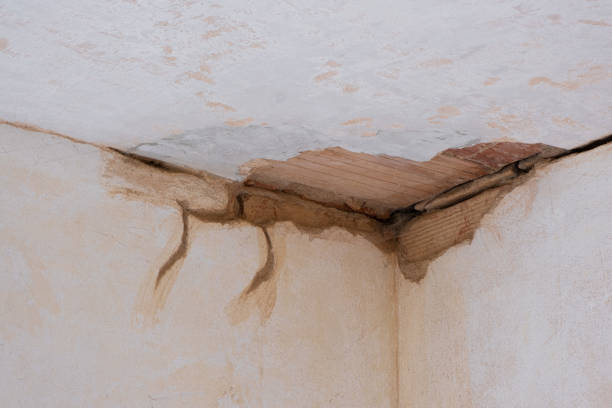 Best Fire Damage Restoration  in Leisuretowne, NJ