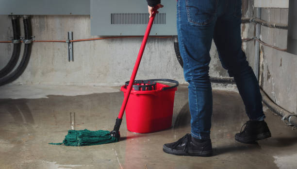 Best Water damage repair service  in Leisuretowne, NJ