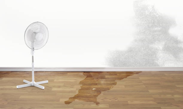 Best Sewage cleanup and water damage restoration  in Leisuretowne, NJ