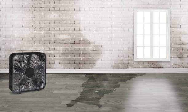 Best Emergency water damage restoration  in Leisuretowne, NJ