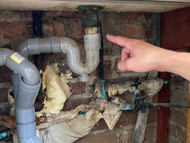 Best Mold removal after water damage  in Leisuretowne, NJ