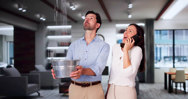 Best Flood damage cleanup  in Leisuretowne, NJ
