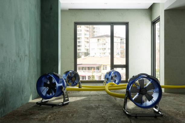 Best Professional water damage repair  in Leisuretowne, NJ